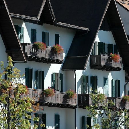 Th San Martino - Majestic Dolomiti Hotel San Martino Di Castrozza Exteriér fotografie